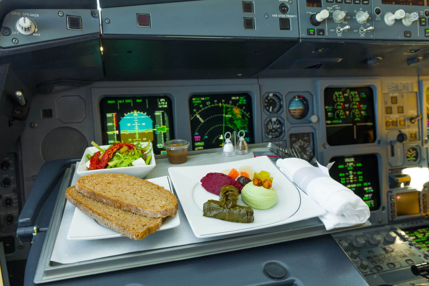 can-pilots-eat-the-same-meal-flightdeckfriend